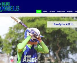 Blue Angels Fastpitch site by emasai